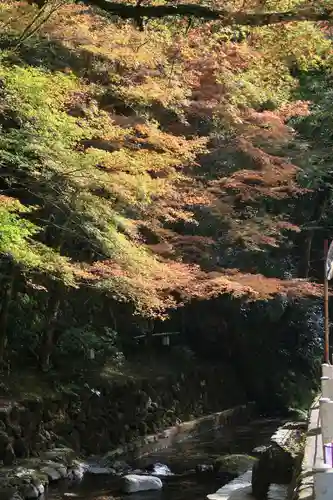 貴船神社の景色