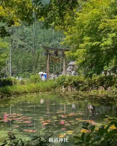 根道神社(岐阜県)
