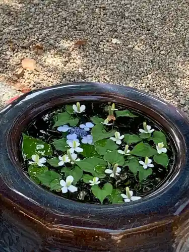 神館神社の自然