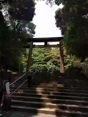 近江神宮の鳥居