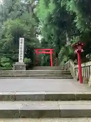 箱根神社の鳥居