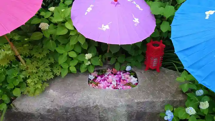 五泉八幡宮(新潟県)