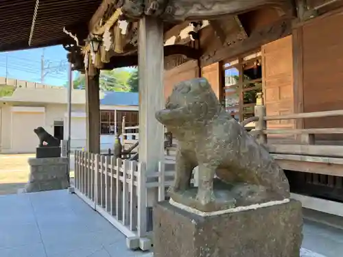 杉田八幡神社（杉田八幡宮）の狛犬