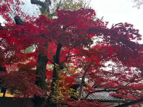 神峯山寺(大阪府)