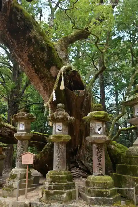 夫婦大國社(春日大社末社)(奈良県)