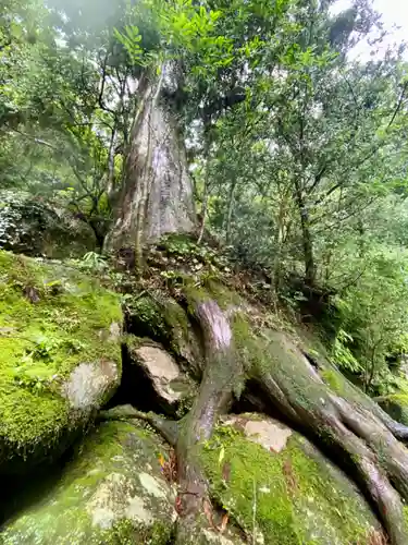 飛瀧神社（熊野那智大社別宮）(和歌山県)