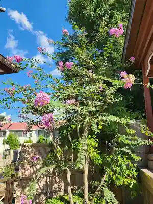 東光院(大阪府)