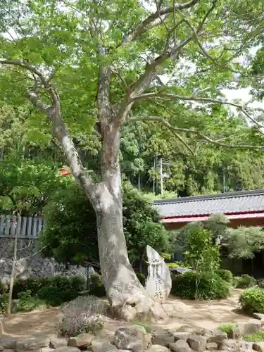 金蛇水神社(宮城県)