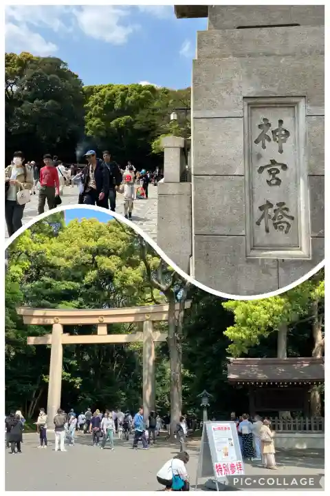 明治神宮(東京都)
