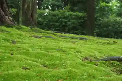 唐招提寺(奈良県)
