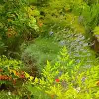 寿量山 速成寺の自然