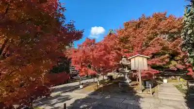 勝林寺(京都府)