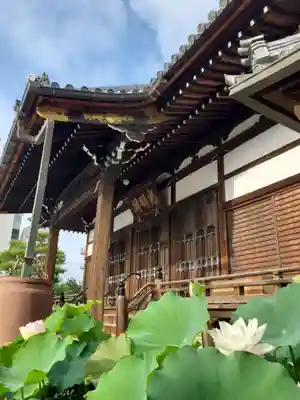 善導寺(福島県)