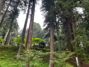 大宮温泉神社のその他建物(2022年06月03日(金) 09時31分11秒投稿)