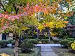 豪徳寺(東京都)