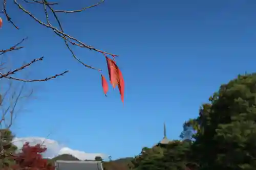 仁和寺(京都府)