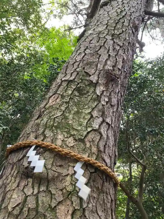 第六天神社(神奈川県)