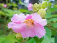 南原寺(山口県)