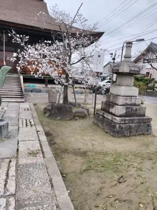高田寺(愛知県)