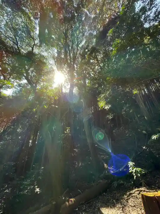 朝護孫子寺の庭園