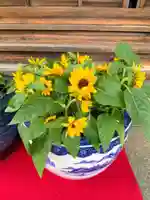 一乗寺(東京都)