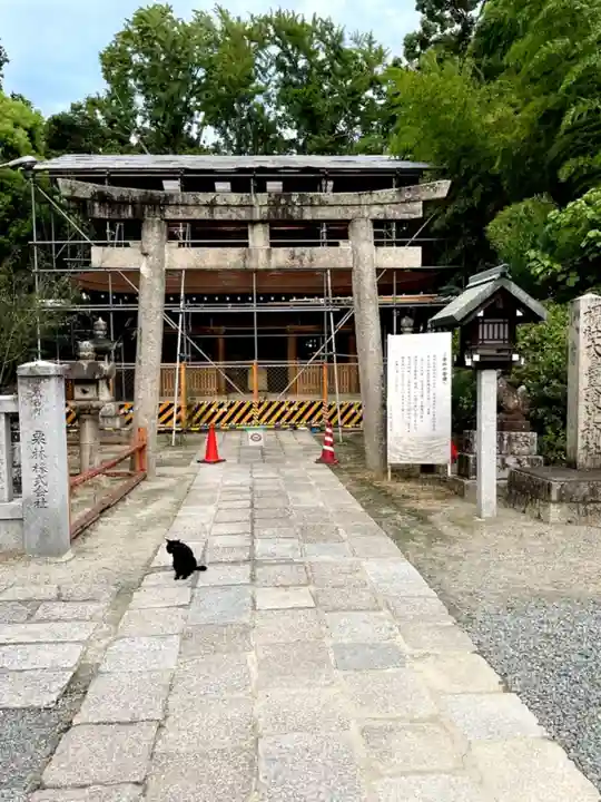 大鳥美波比神社(大鳥大社境内摂社)の動物