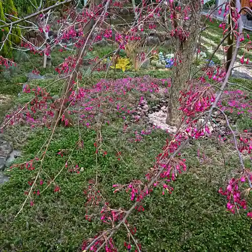 寿量山　速成寺の庭園