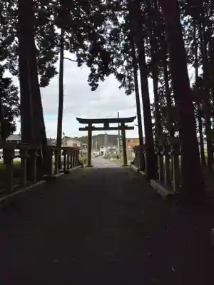 瀧樹神社の鳥居