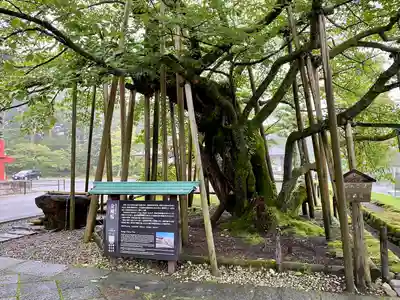 輪王寺(栃木県)