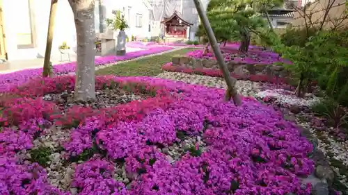 寿量山　速成寺の庭園