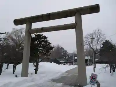 札幌護國神社の鳥居