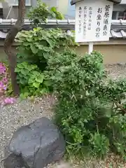 天然寺の自然