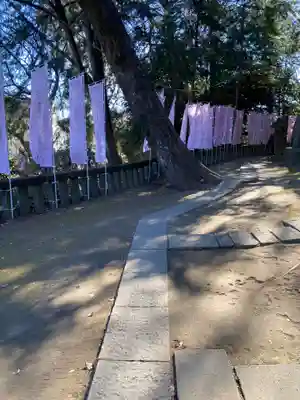 前玉神社(埼玉県)