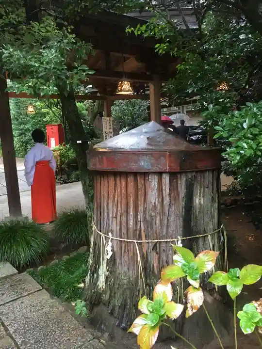 越ヶ谷久伊豆神社の自然