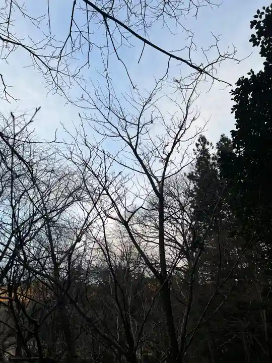 大宮温泉神社(栃木県)