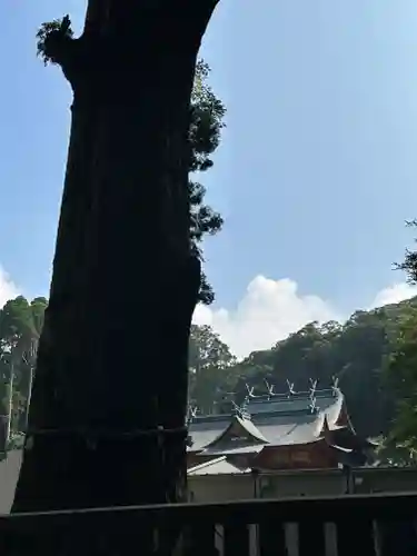 霧島神宮(鹿児島県)