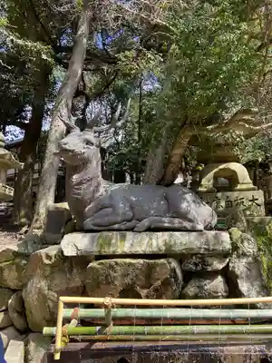春日大社(奈良県)