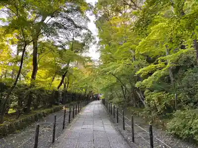 光明寺（粟生光明寺）(京都府)