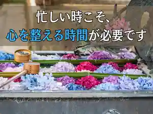 木舟山 順教寺(広島県)(2025年07月17日(木) 09時44分07秒投稿)