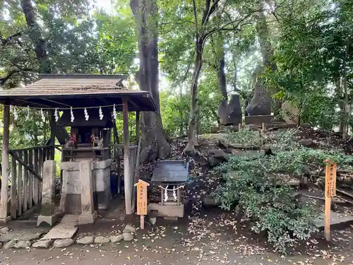 川越氷川神社(埼玉県)