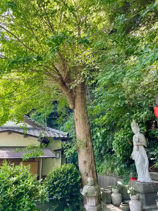 黙仙寺(神奈川県)
