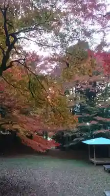 諏訪神社(鳥取県)