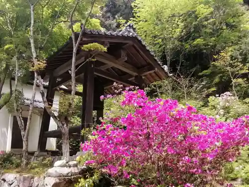 桑実寺の建物その他