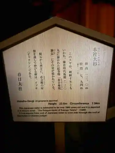 春日大社(奈良県)