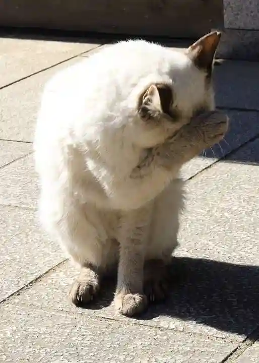 一乗寺(兵庫県)