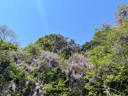 隔夜寺(奈良県)