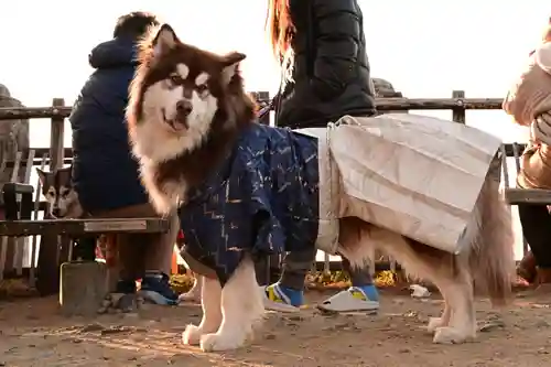 東雲神社(愛媛県)