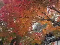 聞証坊(滋賀県)