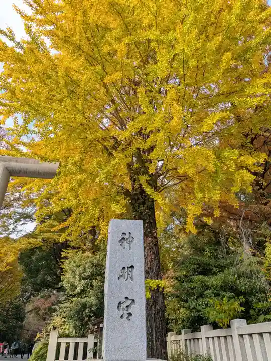 阿佐ヶ谷神明宮(東京都)