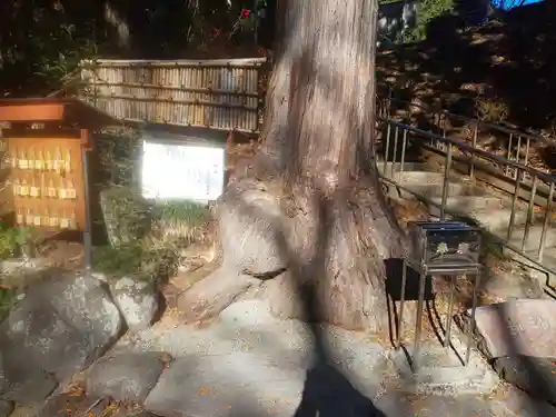 神場山神社の自然